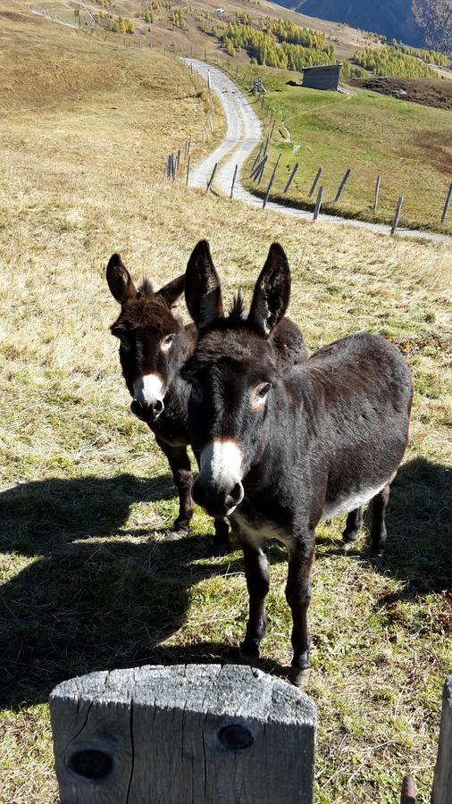 Familienpension Gletscherblick Heiligenblut Buitenkant foto